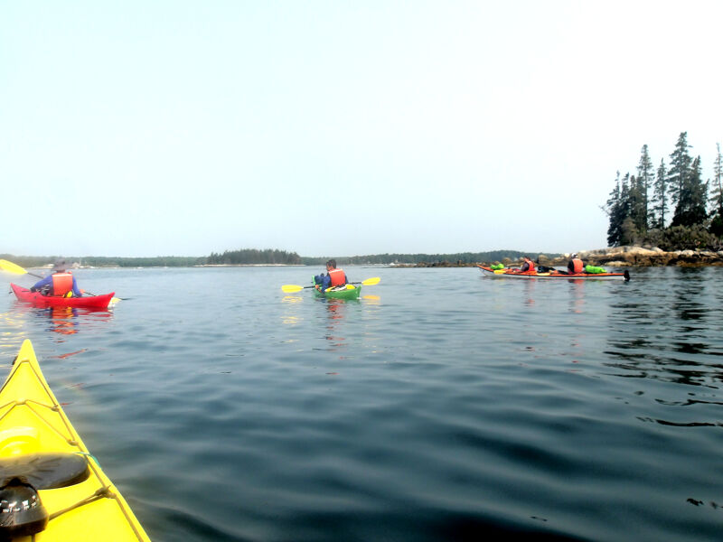 The image shows several kayaks on a calm body of water. There are people in the kayaks, and they appear to be enjoying a leisurely paddle. The sky is overcast, and there is a small island in the background. The water is dark and reflects the sky.